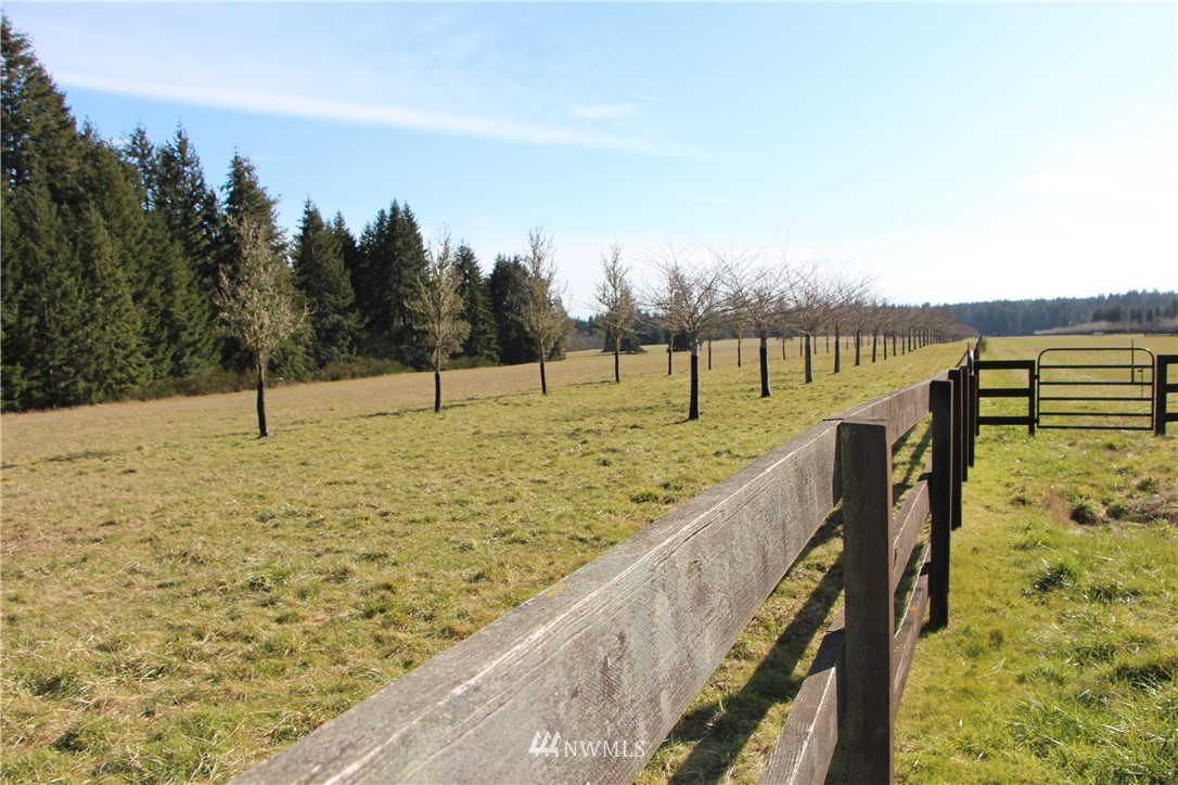 0 Wax Orchard Road Southwest Vashon, WA 98070 - Photo 19 of 20