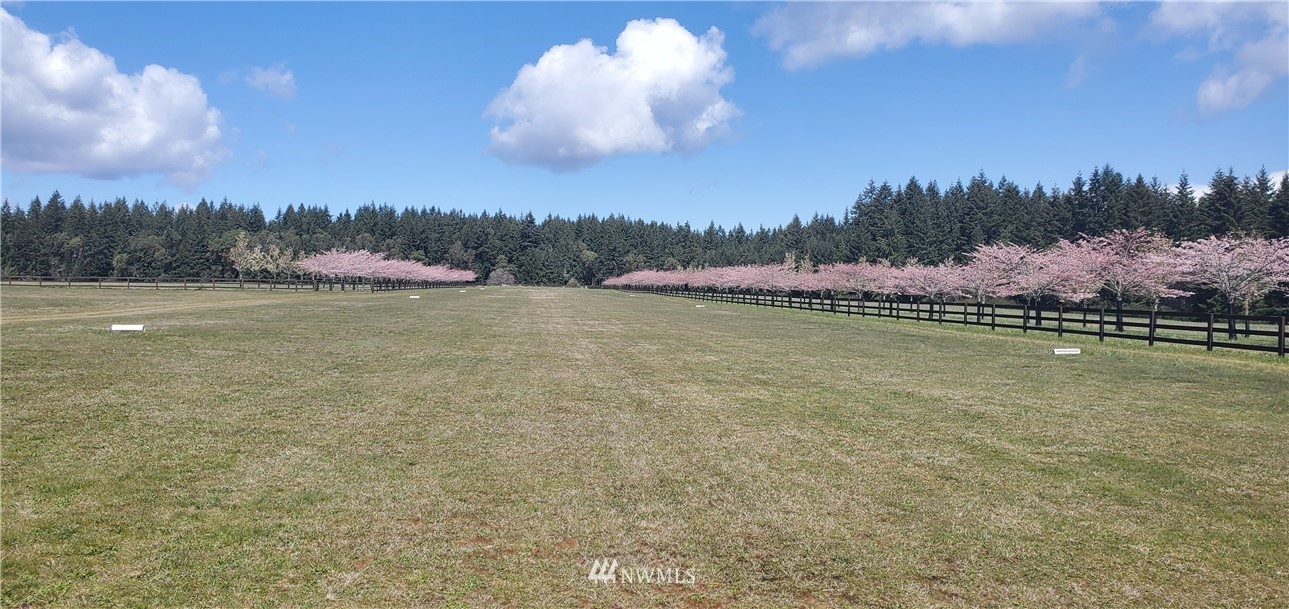 0 Wax Orchard Road Southwest Vashon, WA 98070 - Photo 20 of 20