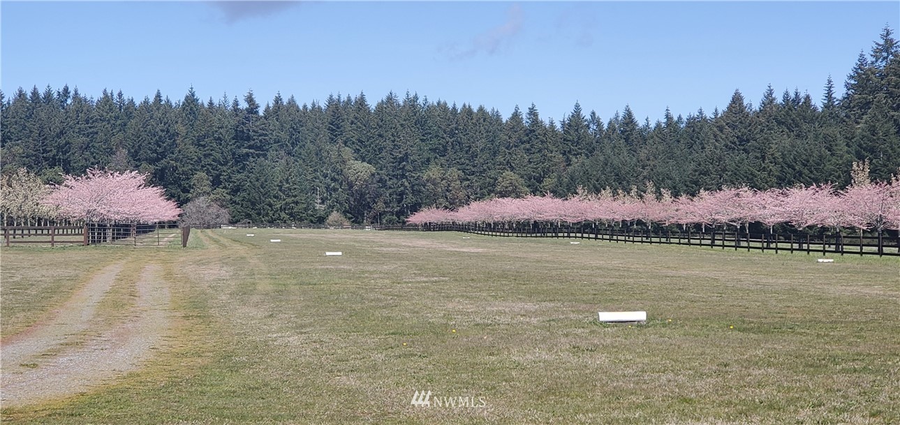 0 Wax Orchard Road Southwest Vashon, WA 98070 - Photo 8 of 20