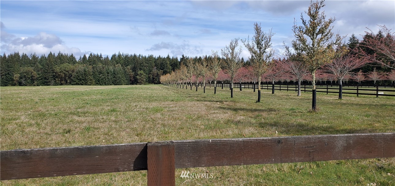 0 Wax Orchard Road Southwest Vashon, WA 98070 - Photo 10 of 20