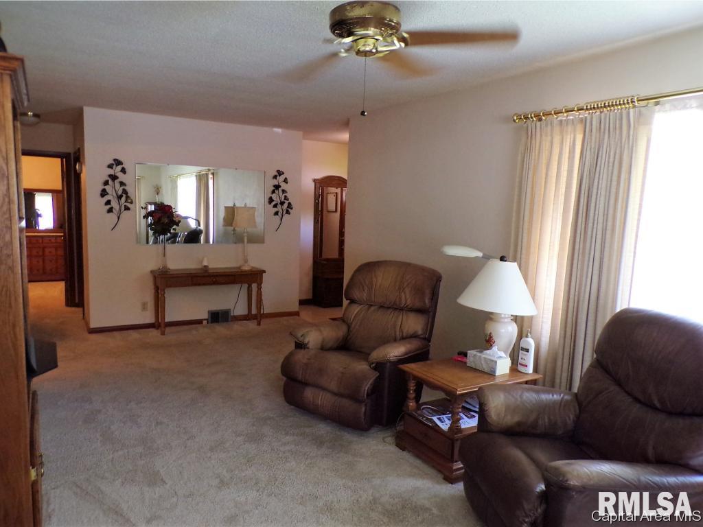 618 North Springfield Street Virden, IL 62690 - Photo 4 of 24 Gallery Image 4