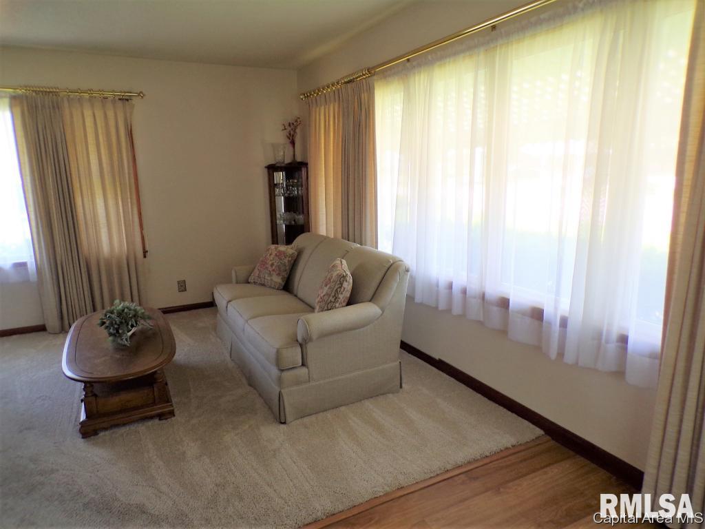 618 North Springfield Street Virden, IL 62690 - Photo 9 of 24 Gallery Image 9