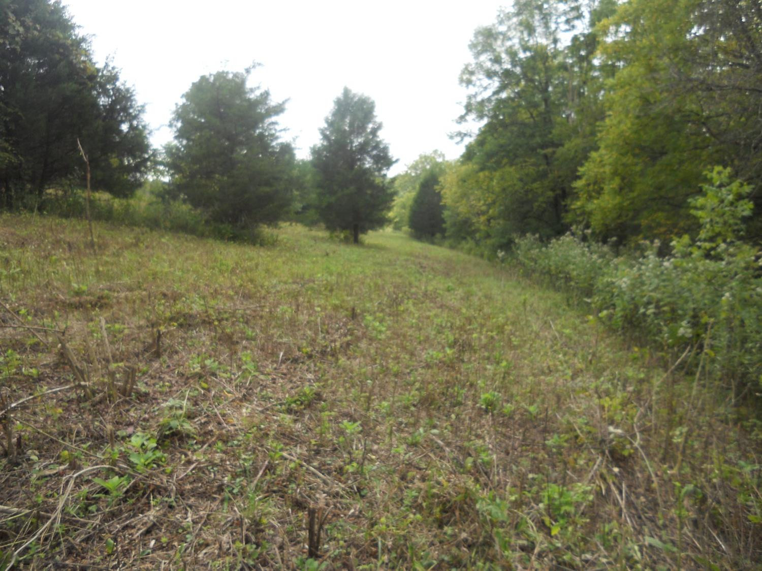 5 General Cable Road Lawrenceburg, KY 40342 - Photo 7 of 13 Photo 8