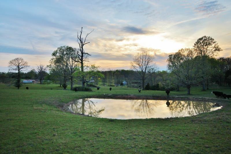 0 Anderson Road Fairview, TN 37062 - Photo 8 of 12 Gallery Image 8