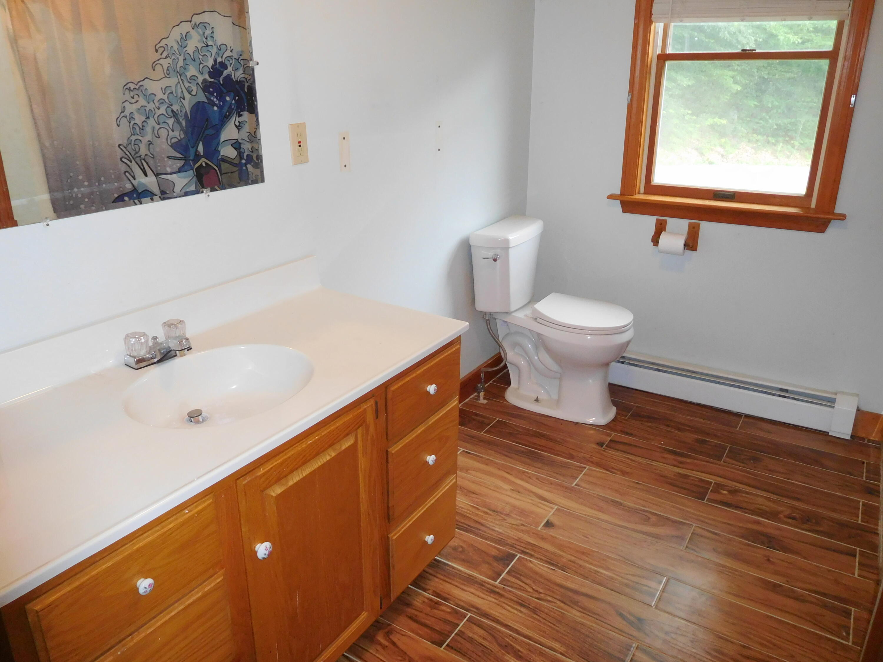 243 Streaked Mountain Road Buckfield, ME 04220 - Photo 14 of 30