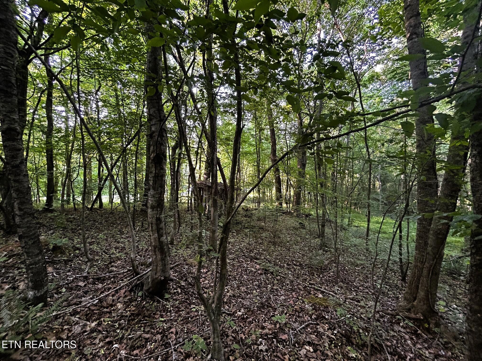 9 Pleasant Hill Road Ten Mile, TN 37880 - Photo 19 of 32 PH 9 15