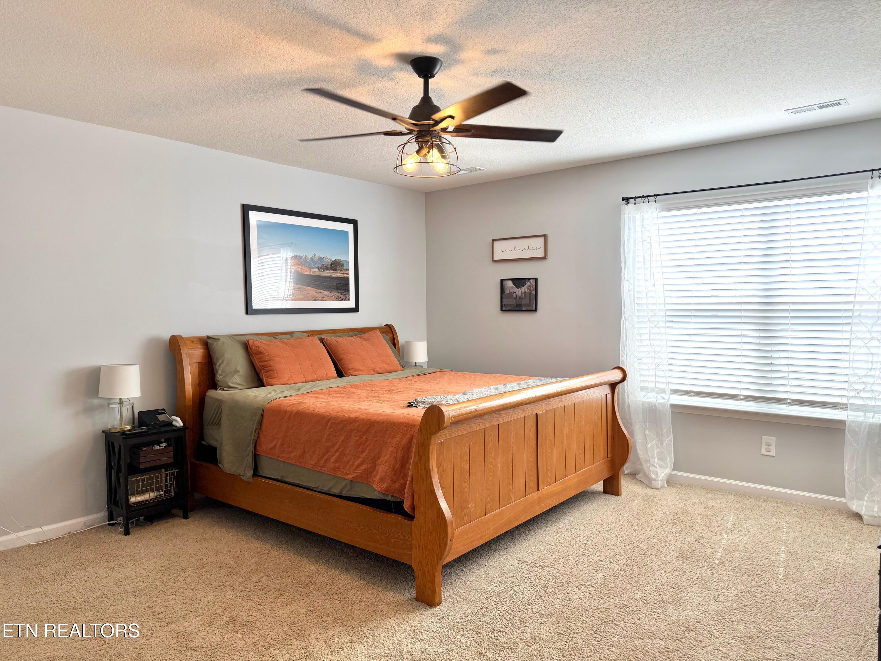 7410 Cottontail Street Corryton, TN 37721 - Photo 16 of 44 7410 Cottontail St - 1