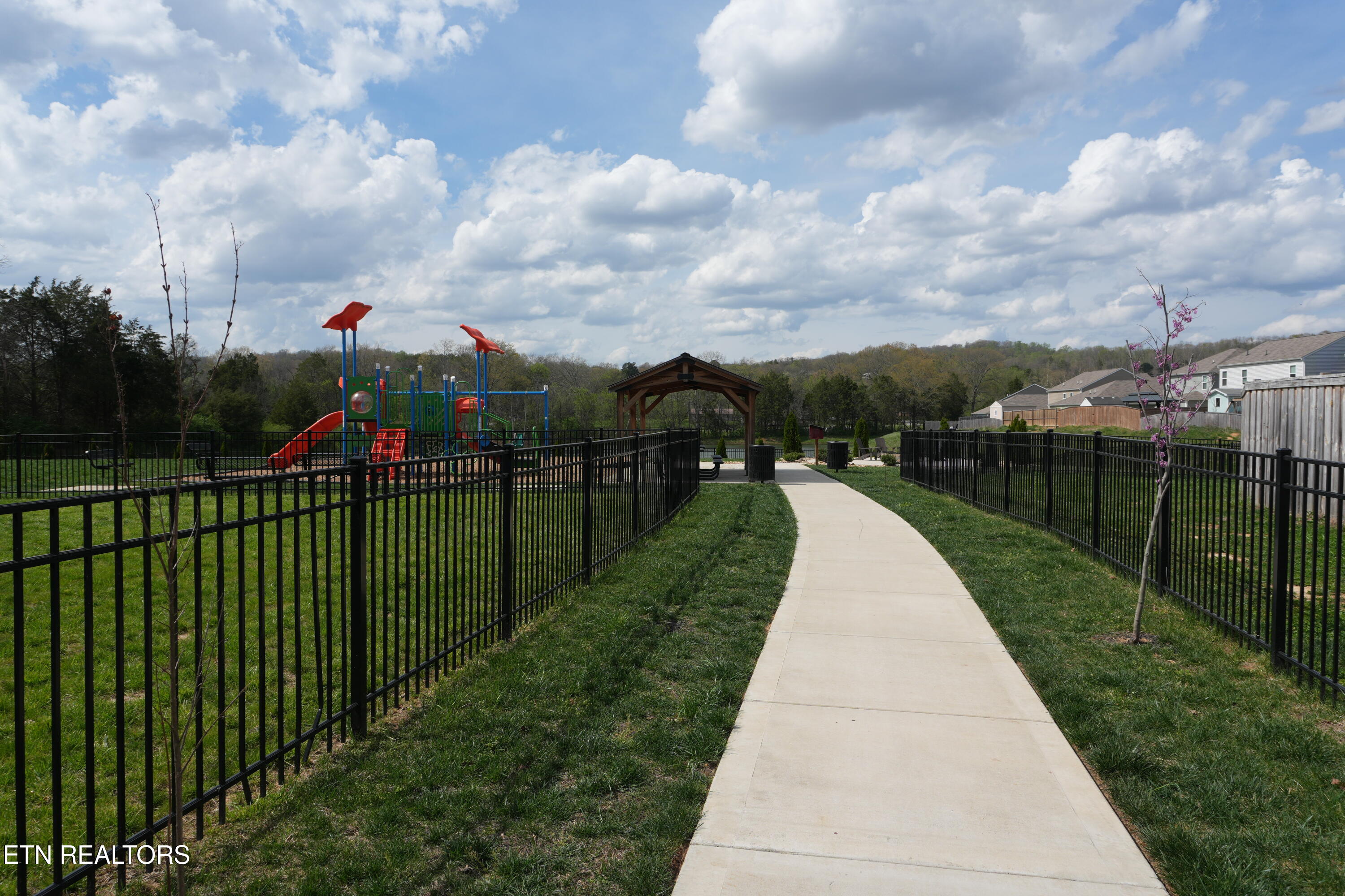 7410 Cottontail Street Corryton, TN 37721 - Photo 37 of 44 DSC02250