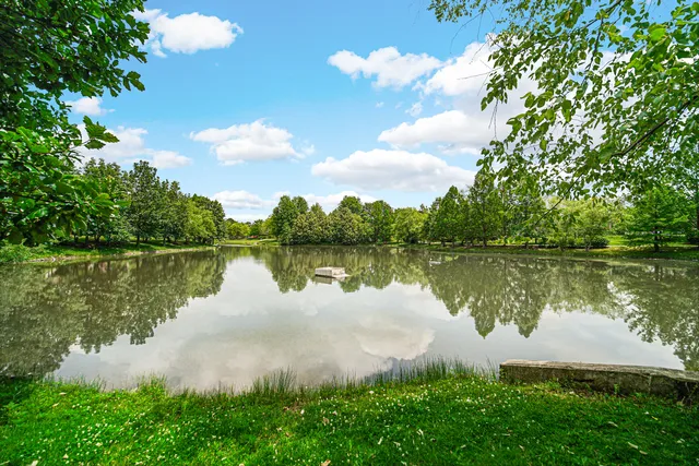 $3,000 | 357 Lucille Lane, Schaumburg, IL 60193