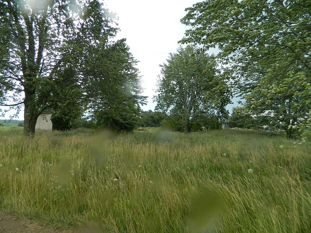 8010 East Battle Road Clare, MI 48617 - Photo 4 of 6