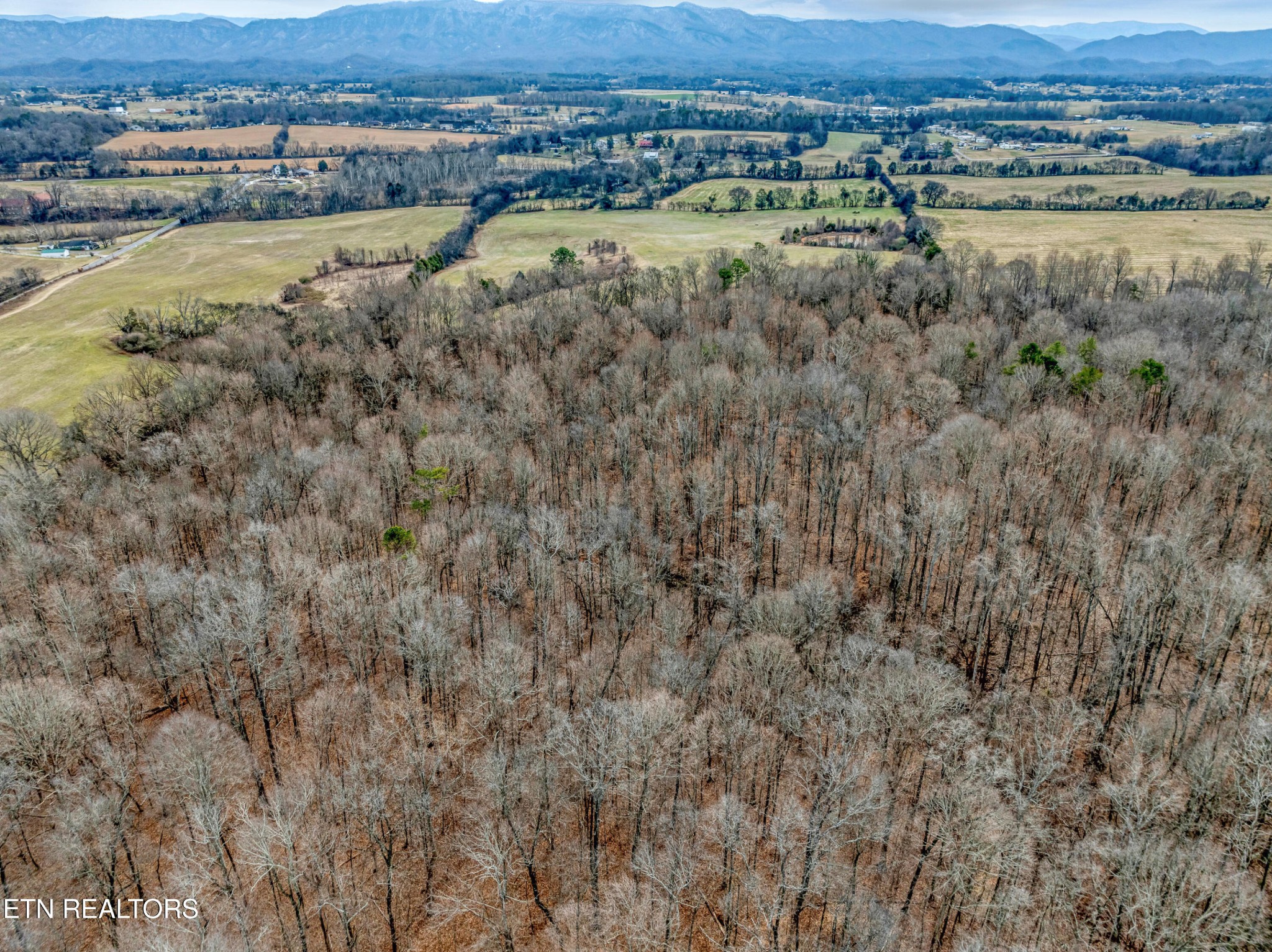 5365 Sevierville Road Maryville, TN 37804 - Photo 14 of 18 Gallery Image 14