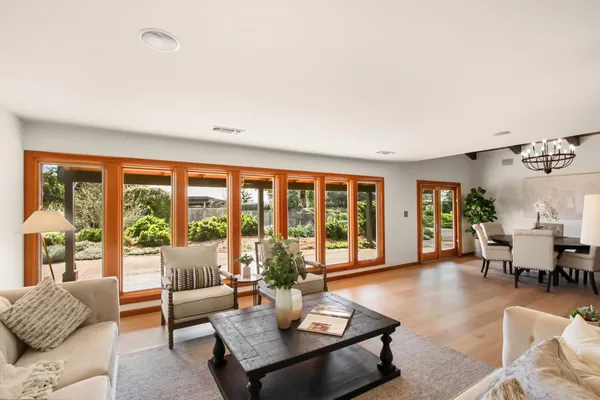a living room with a table tennis table and potted plant