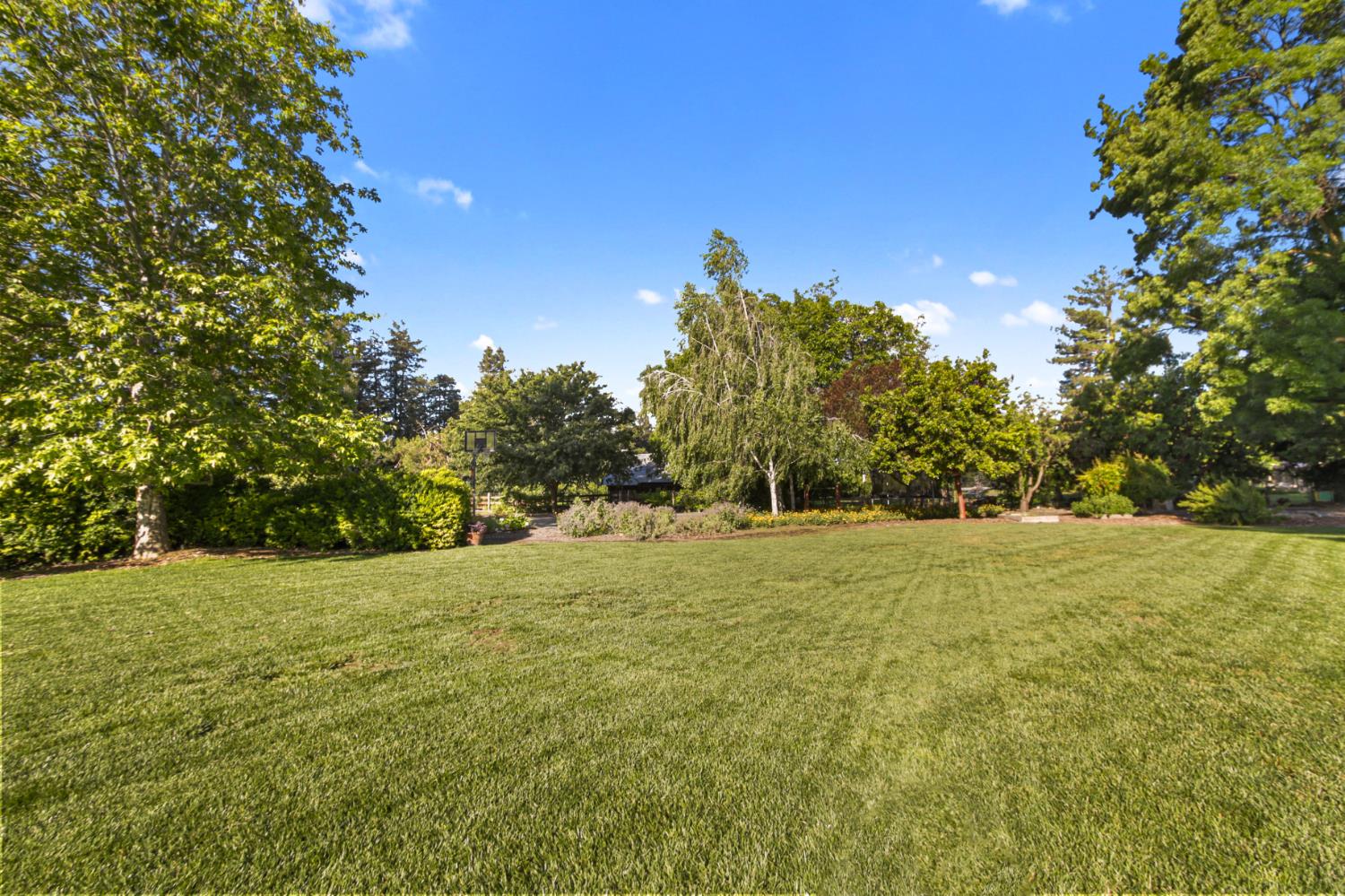 38385 Larue Way Davis, CA 95616 - Photo 69 of 89