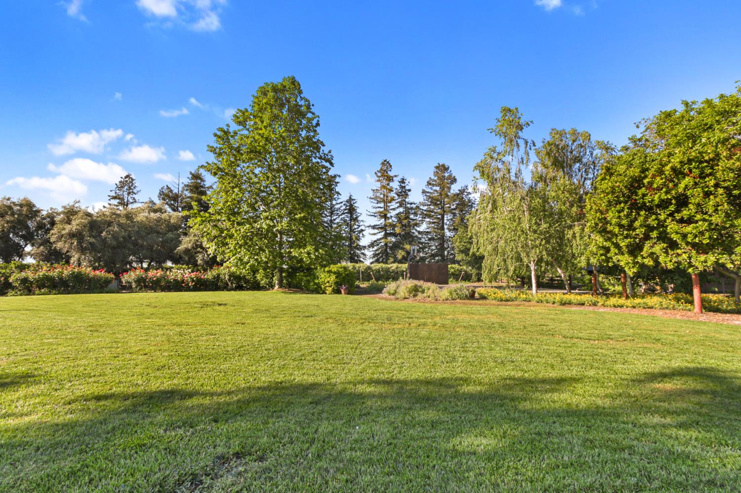 38385 Larue Way Davis, CA 95616 - Photo 70 of 89