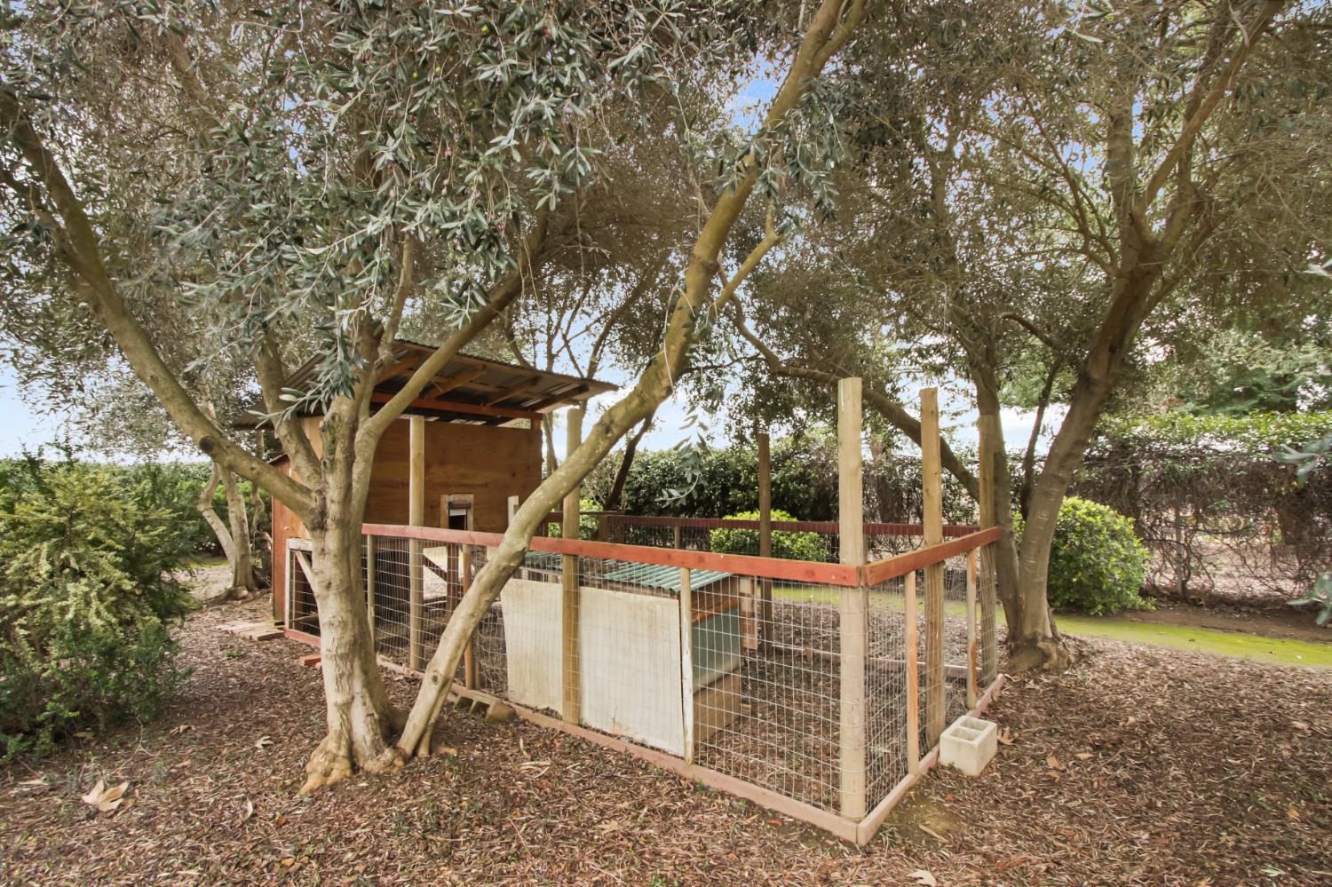 38385 Larue Way Davis, CA 95616 - Photo 72 of 89 front view of a house with a trees