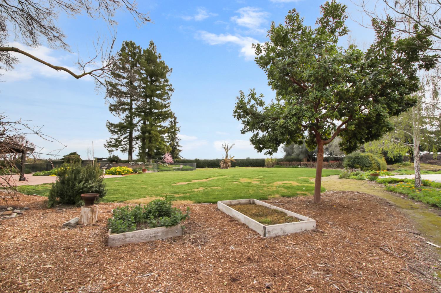 38385 Larue Way Davis, CA 95616 - Photo 73 of 89