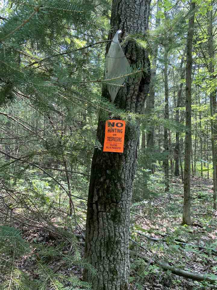 0 Briggs Road Omer, MI 48749 - Photo 27 of 45