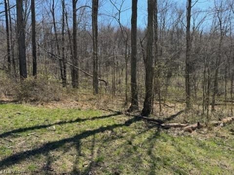 True Road Southeast Dennison, OH 44621 - Photo 7 of 9
