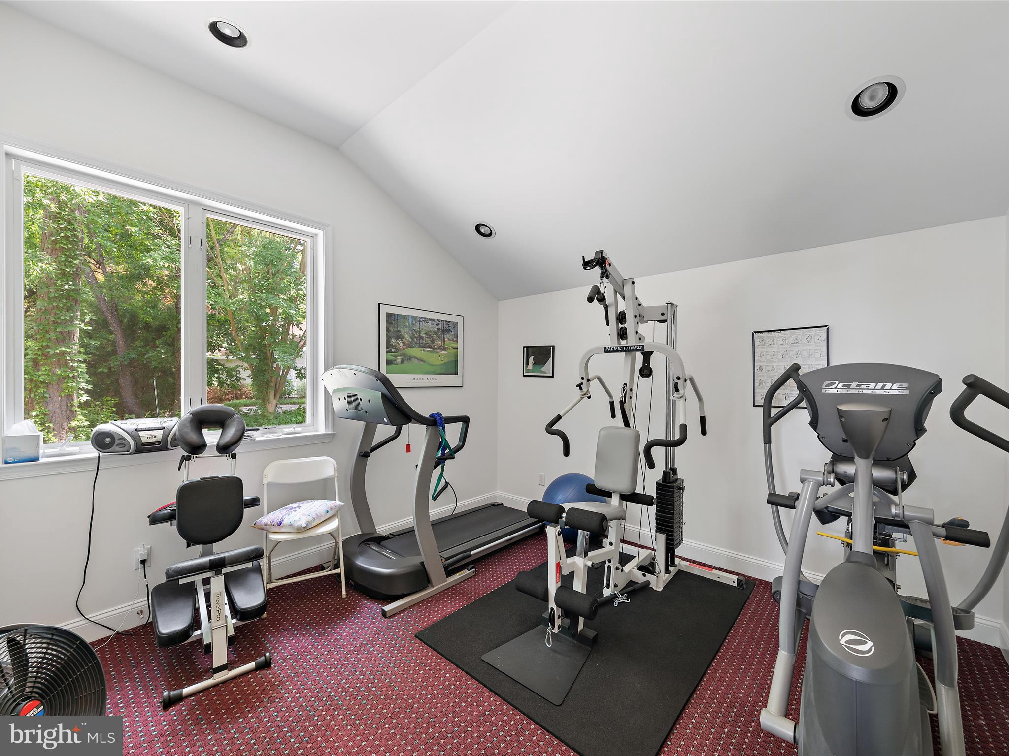 11114 Spring Branch Lane Berlin, MD 21811 - Photo 45 of 75 a view of a workspace with furniture and a gym cycle