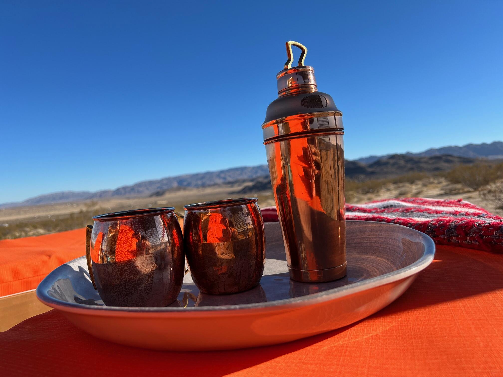 2100 Copper Moon Lane Joshua Tree, CA 92252 - Photo 28 of 28