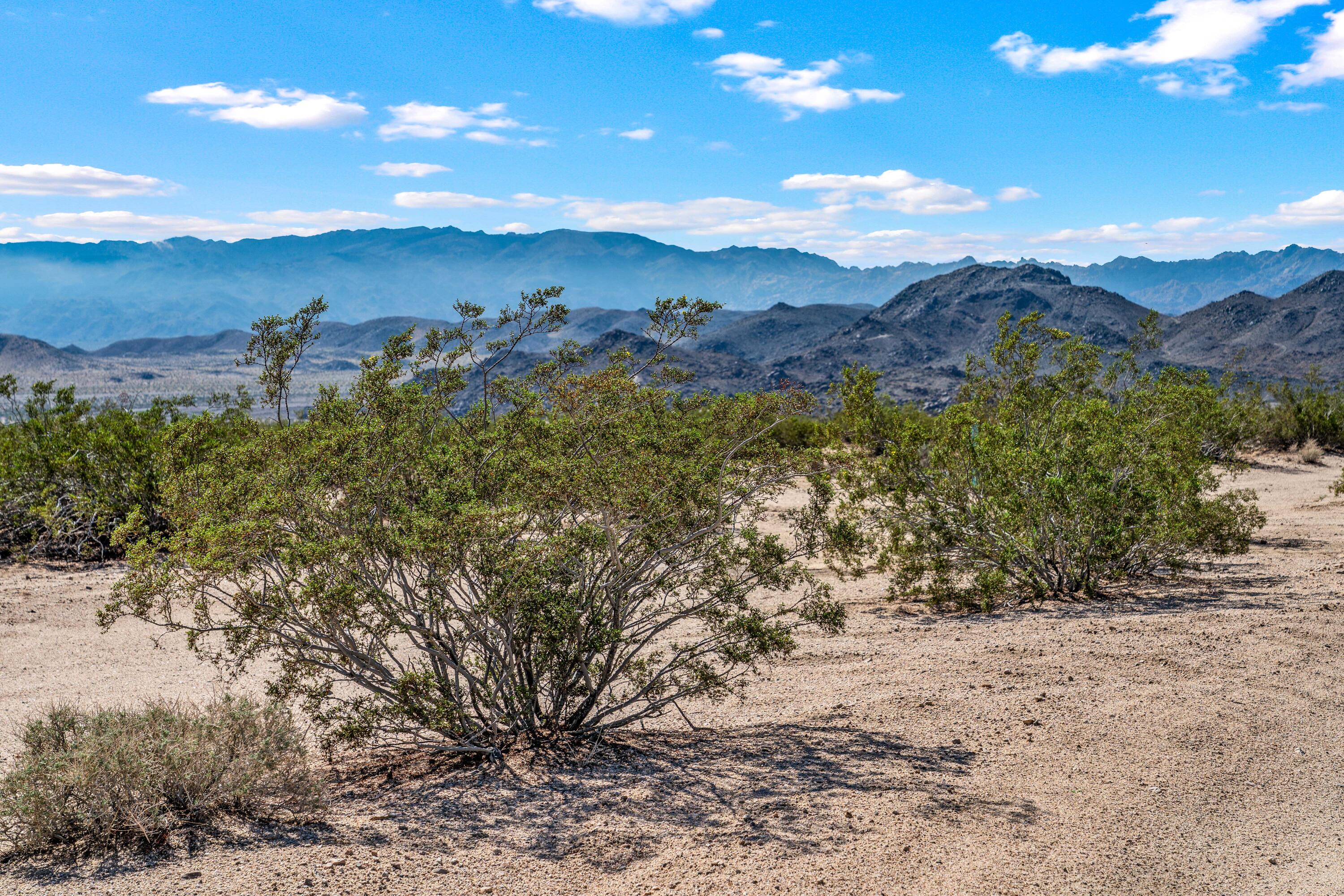 2100 Copper Moon Lane Joshua Tree, CA 92252 - Photo 8 of 28 a view of mountain view with mountains in the background