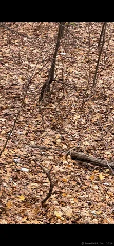 $25,000 | Hillside Avenue, East Hartford, CT 06108