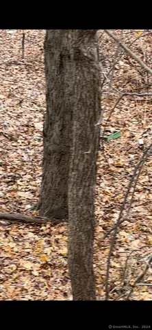 $25,000 | Hillside Avenue, East Hartford, CT 06108