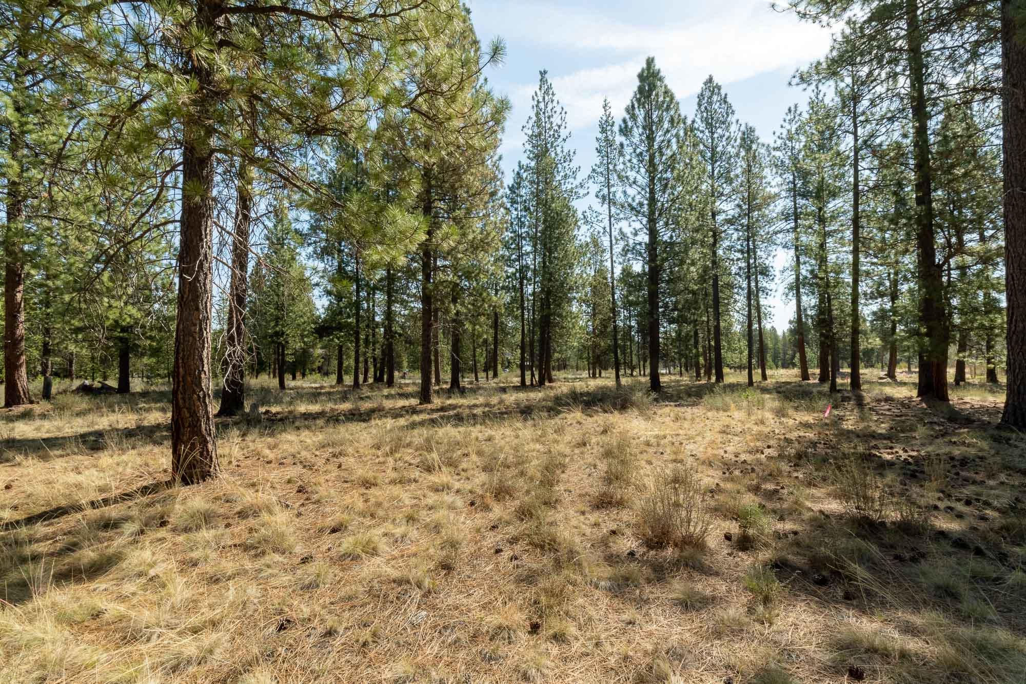56436 Fireglass Loop Bend, OR 97707 - Photo 20 of 20 Build Your Dream Here!