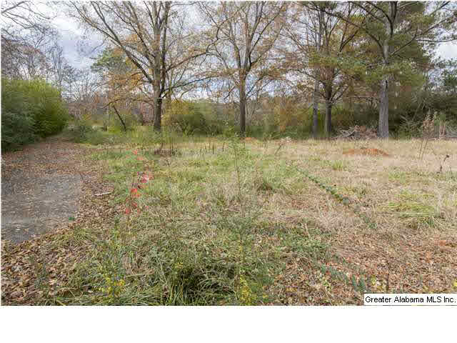 2733 Rocky Ridge Road, Unit 2733 Birmingham, AL 35243 - Photo 4 of 14
