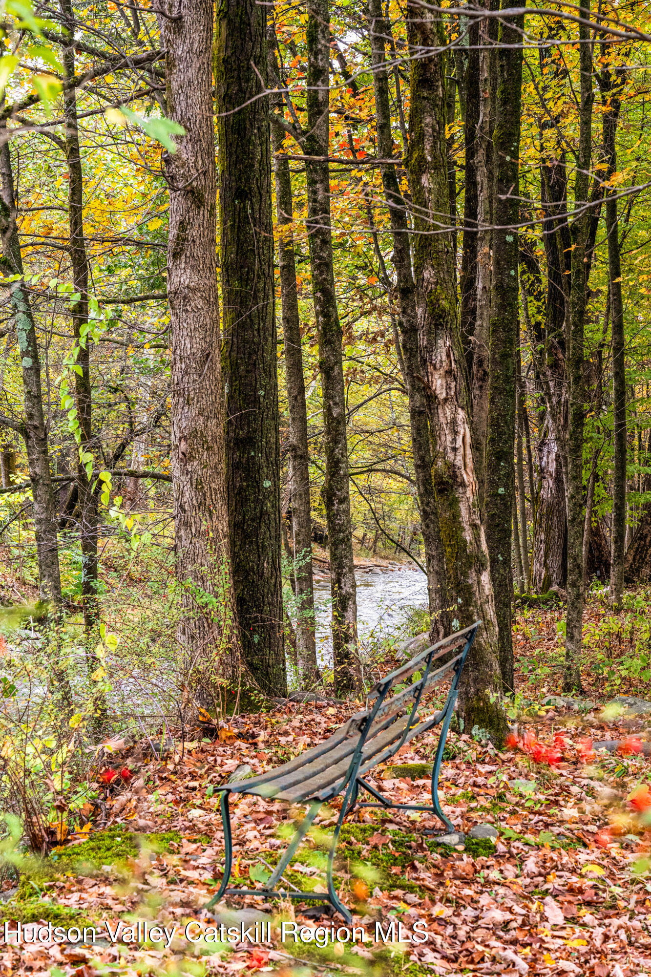 1 Wittenberg Road Bearsville, NY 12409 - Photo 54 of 72 1 Wittenberg Road Dec 2025 x This Old Hu