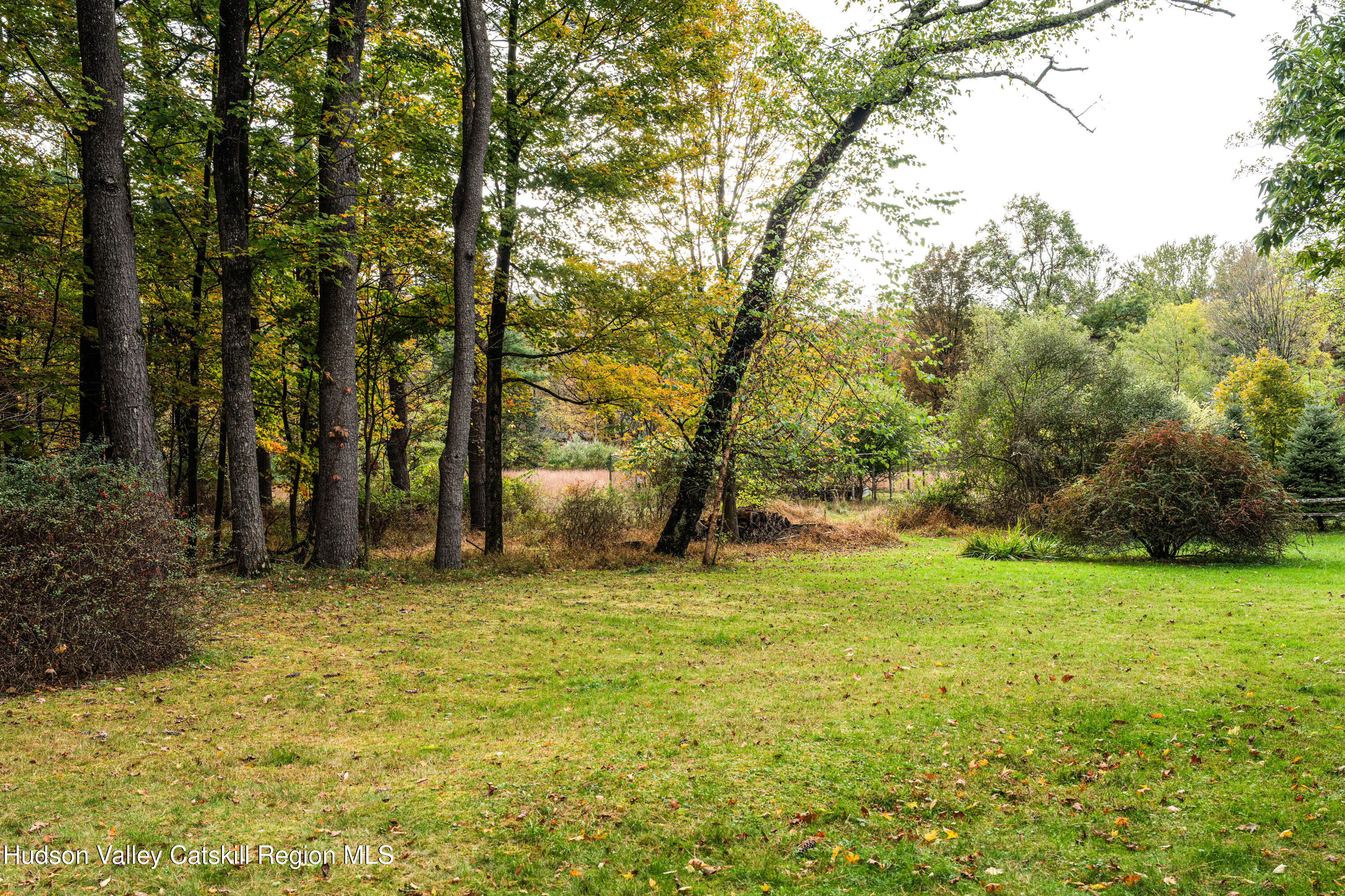 1 Wittenberg Road Bearsville, NY 12409 - Photo 62 of 72 a view of a field with trees in the background