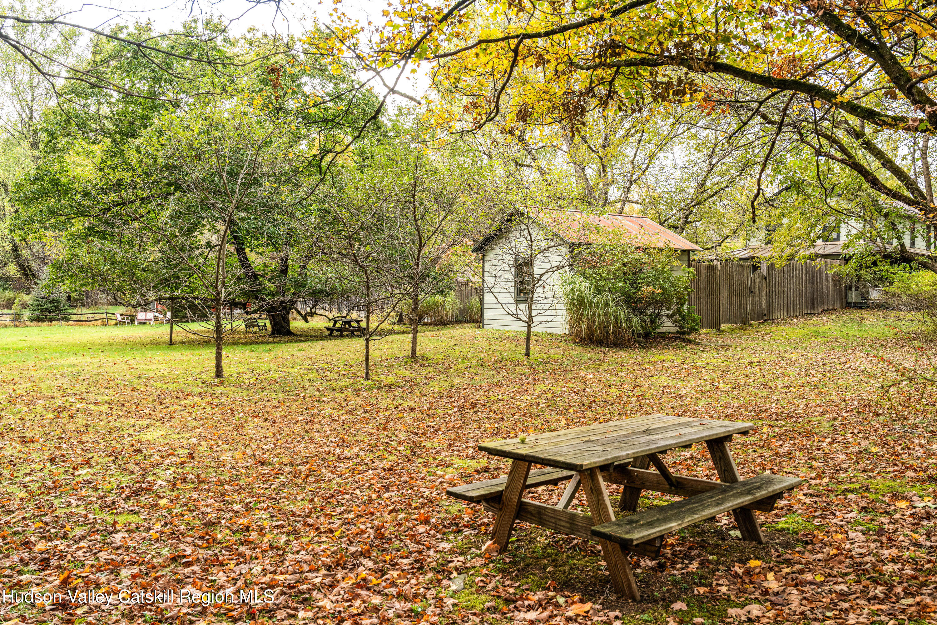1 Wittenberg Road Bearsville, NY 12409 - Photo 63 of 72 a view of a yard with trees