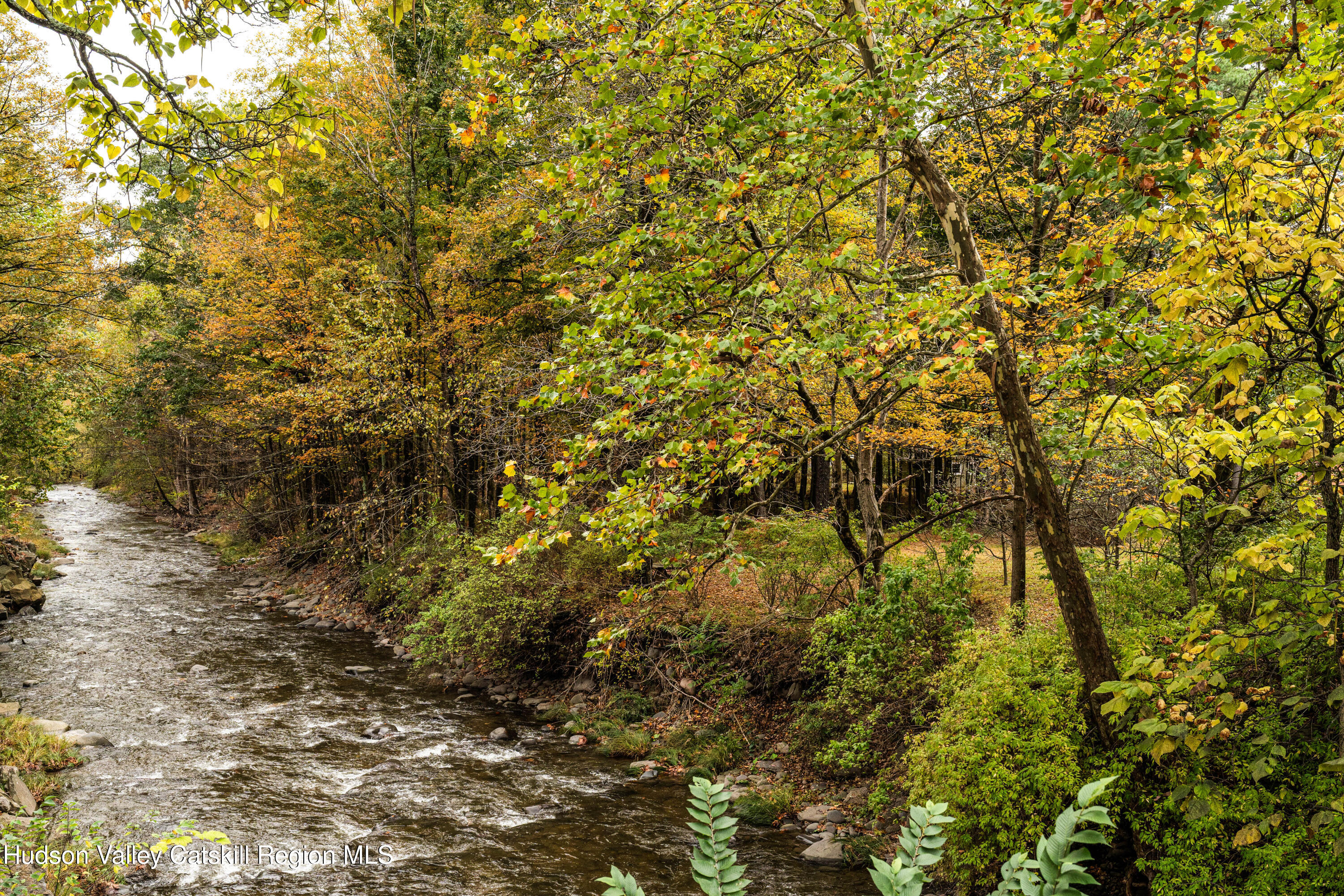 1 Wittenberg Road Bearsville, NY 12409 - Photo 7 of 72 a view of a yard