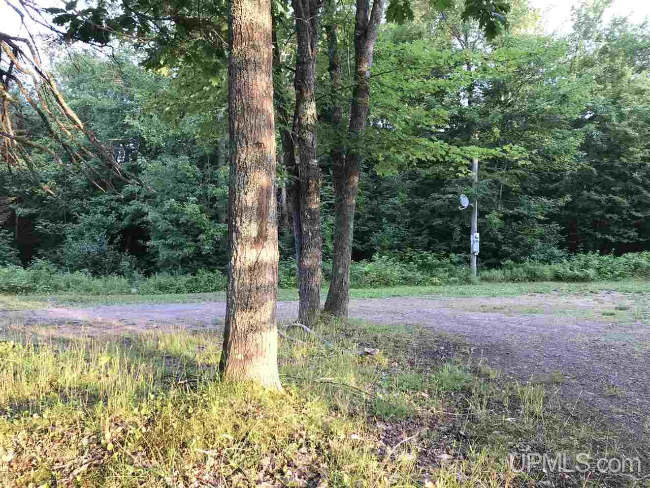 56465 Traprock Valley Road Calumet, MI 49913 - Photo 3 of 20