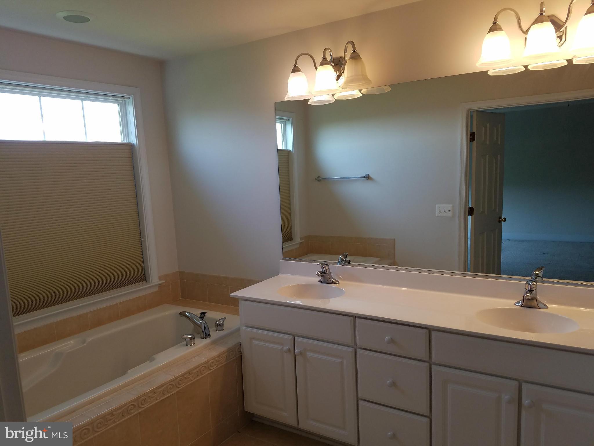 9279 Laurel Ridge Crossing Road Lorton, VA 22079 - Photo 8 of 11 Bath (Master)