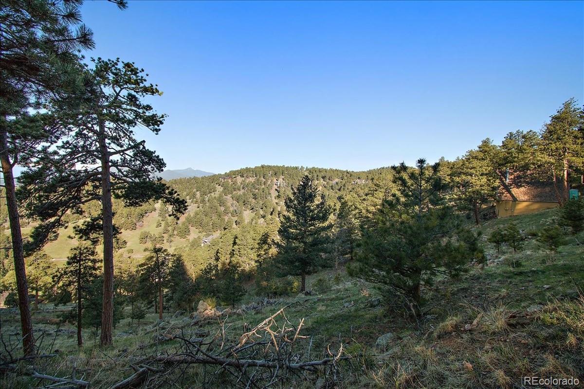 25086 Genesee Spring Road Golden, CO 80401 - Photo 5 of 18 Gallery Image 5