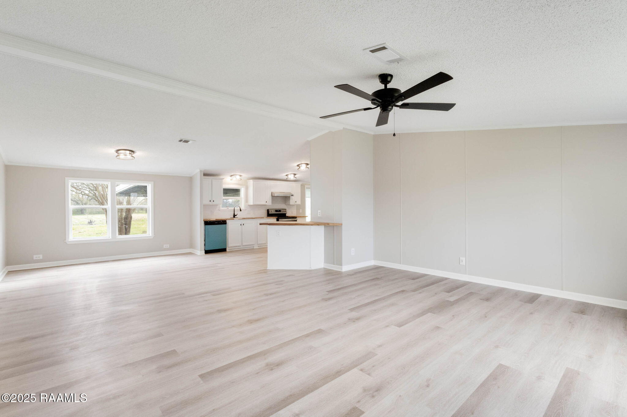 201 Gourmet Road Carencro, LA 70520 - Photo 7 of 26 6-web-or-mls-201 Gourmet-5