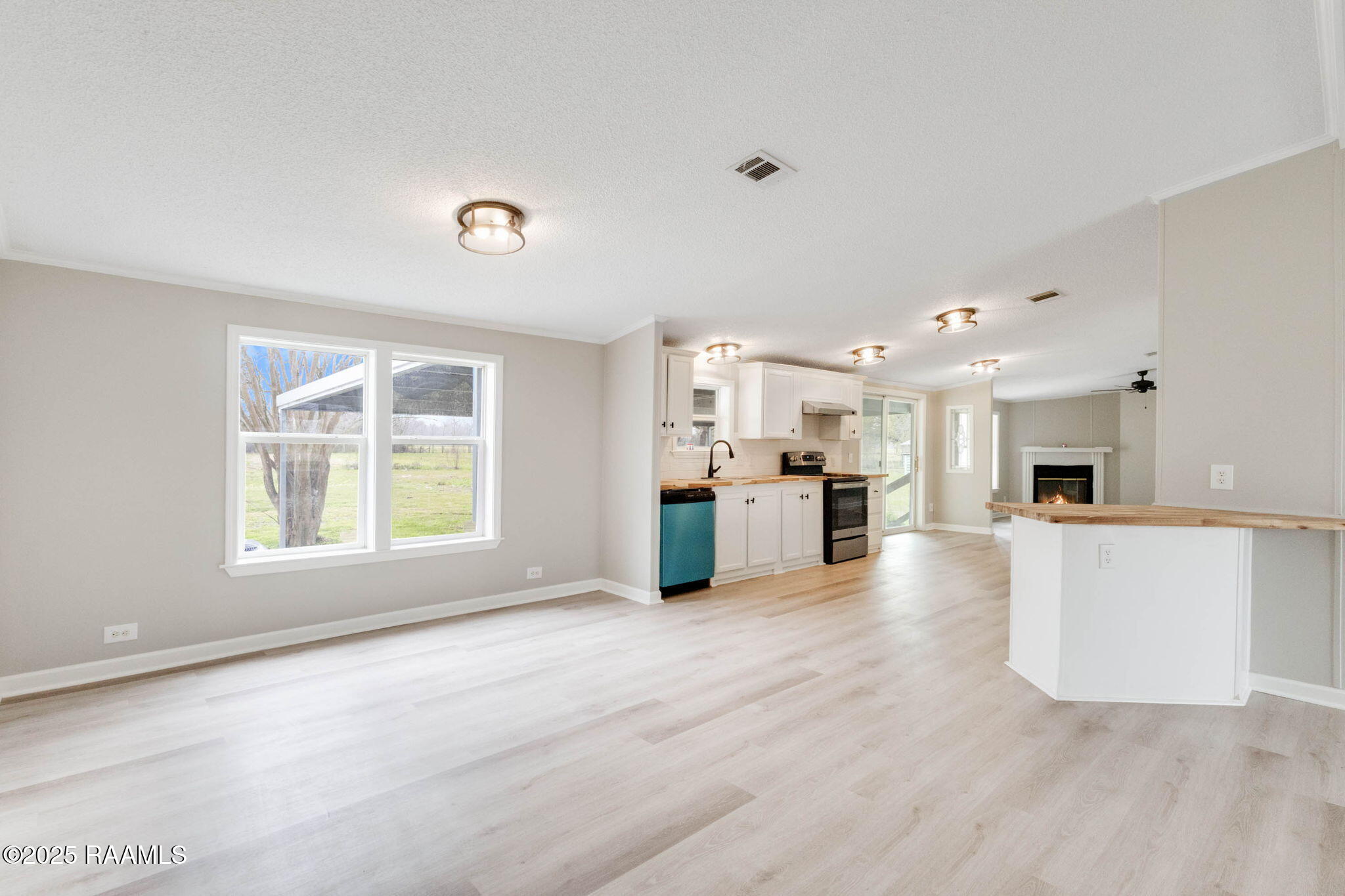 201 Gourmet Road Carencro, LA 70520 - Photo 8 of 26 7-web-or-mls-201 Gourmet-6