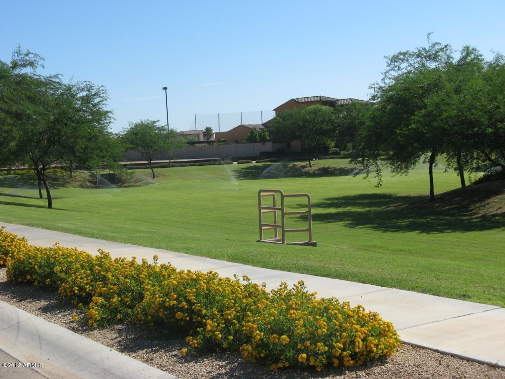 14477 West Coronado Road Goodyear, AZ 85395 - Photo 11 of 18 IMG_cortile open space