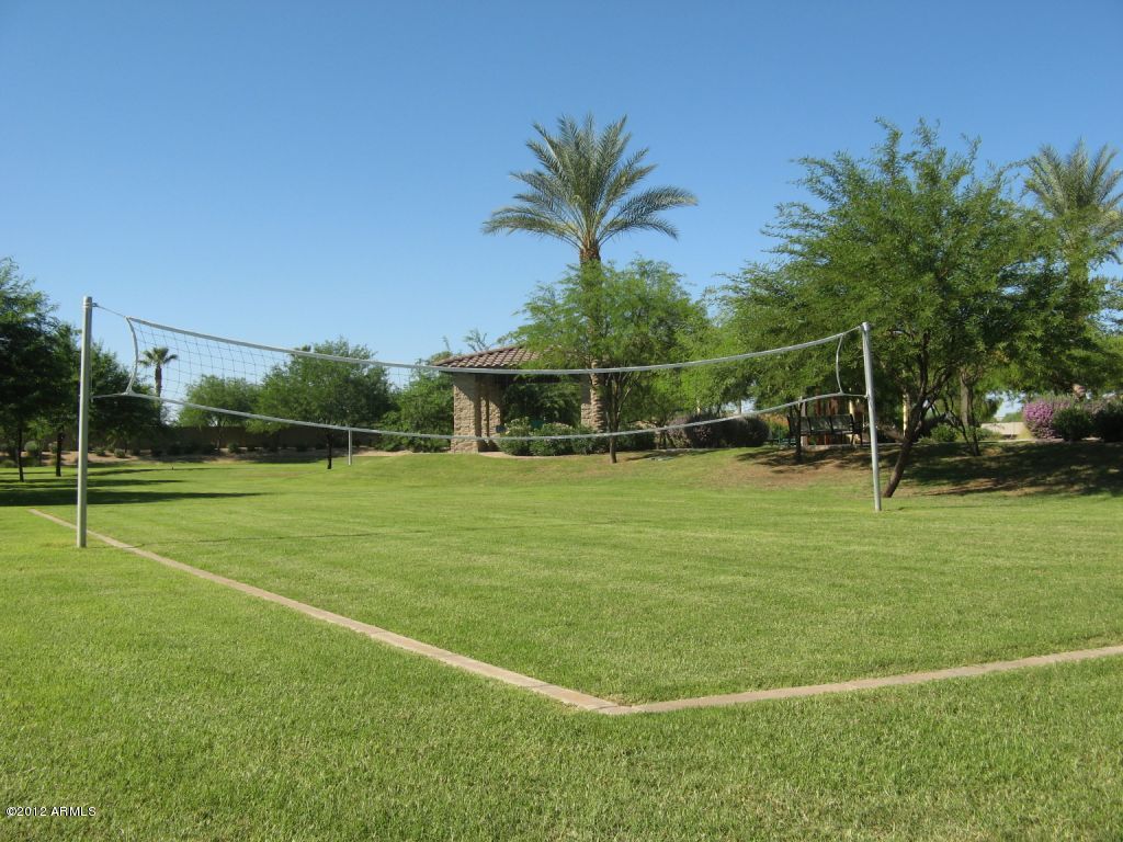 14477 West Coronado Road Goodyear, AZ 85395 - Photo 9 of 18 IMG_cortile grass area