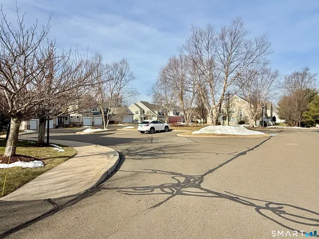 a view of road with with trees