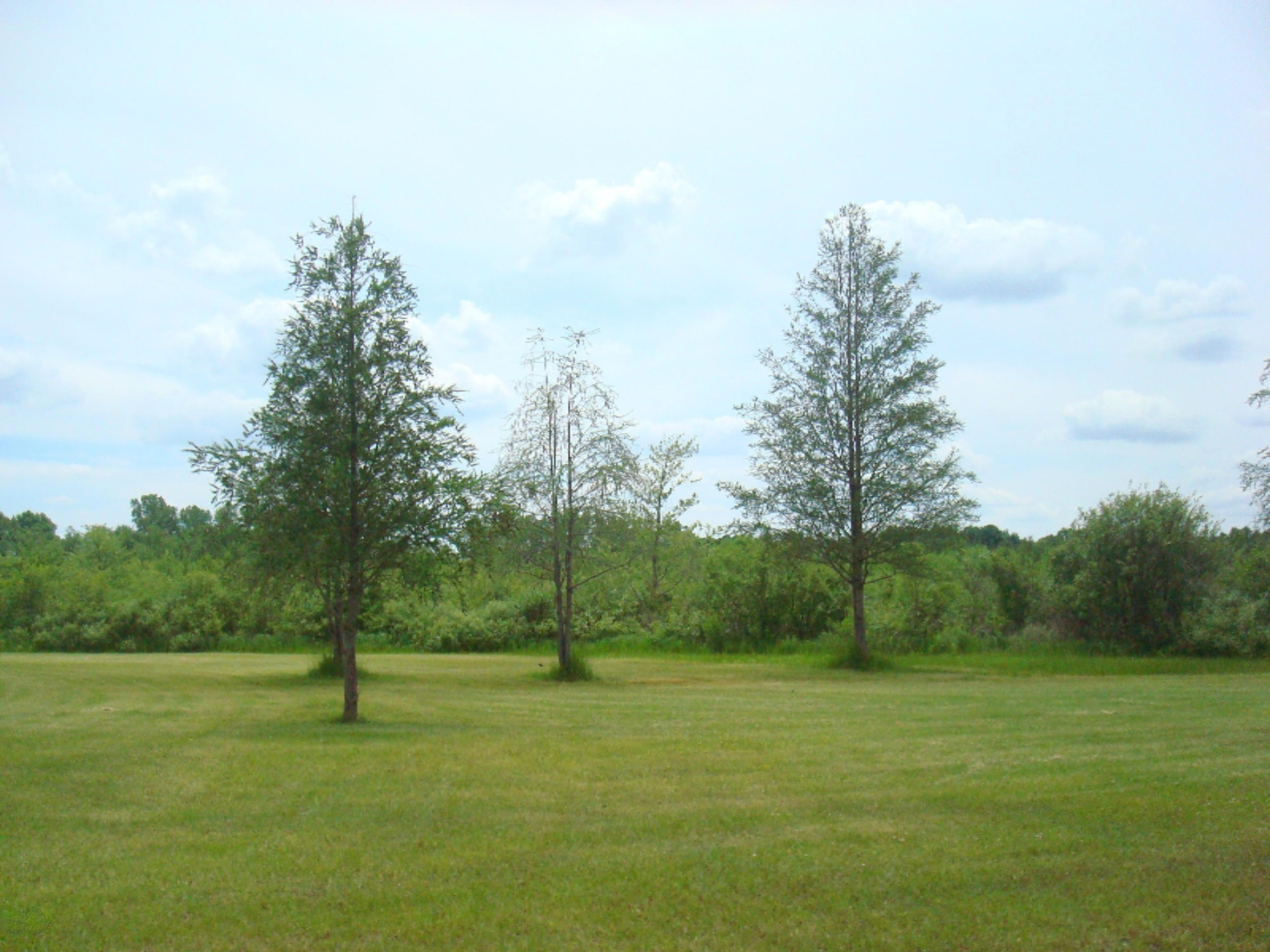 12282 Mead Road Montgomery, MI 49255 - Photo 103 of 142 9119-31 (15)