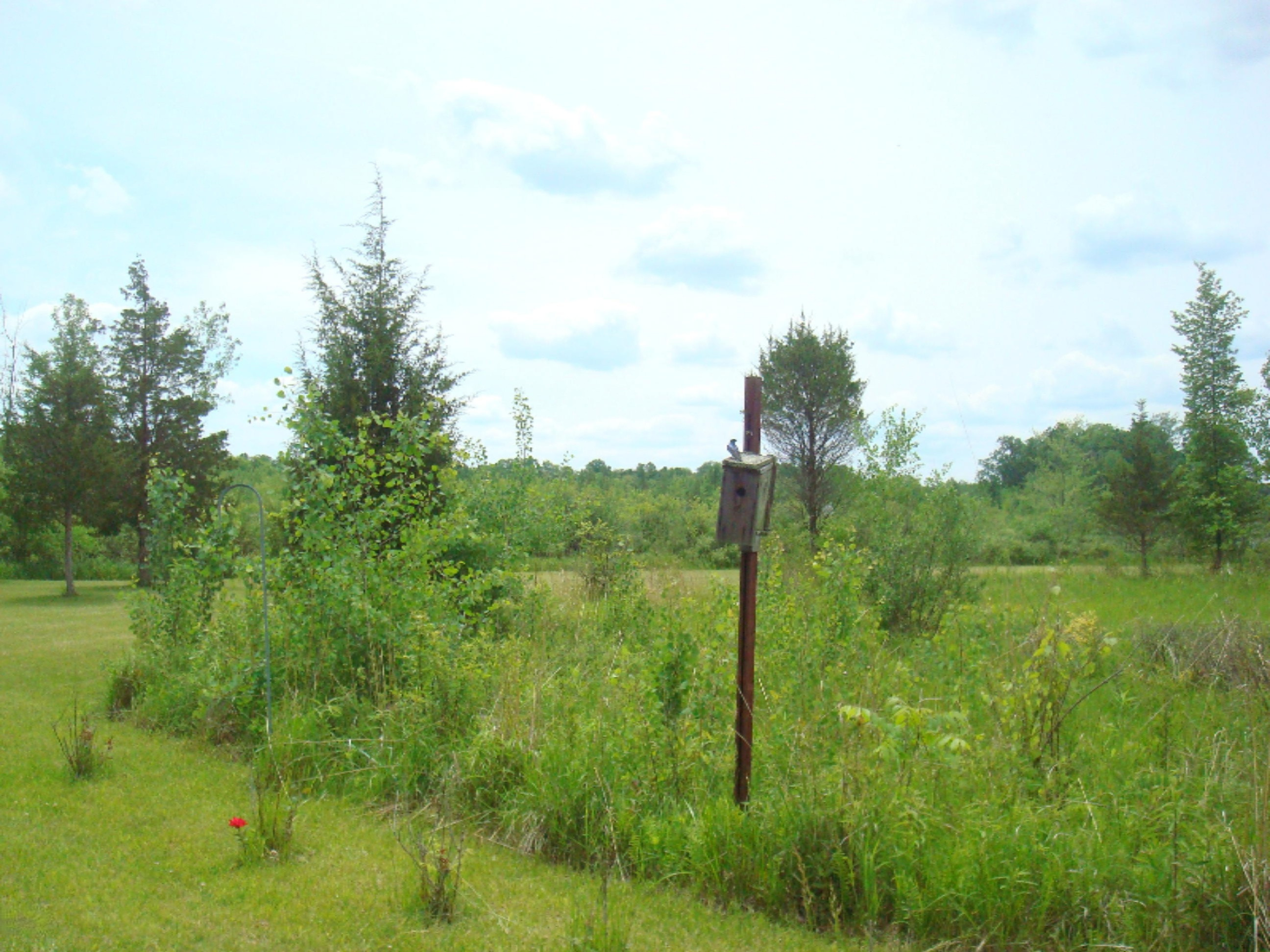 12282 Mead Road Montgomery, MI 49255 - Photo 111 of 142 9119-32 (9)