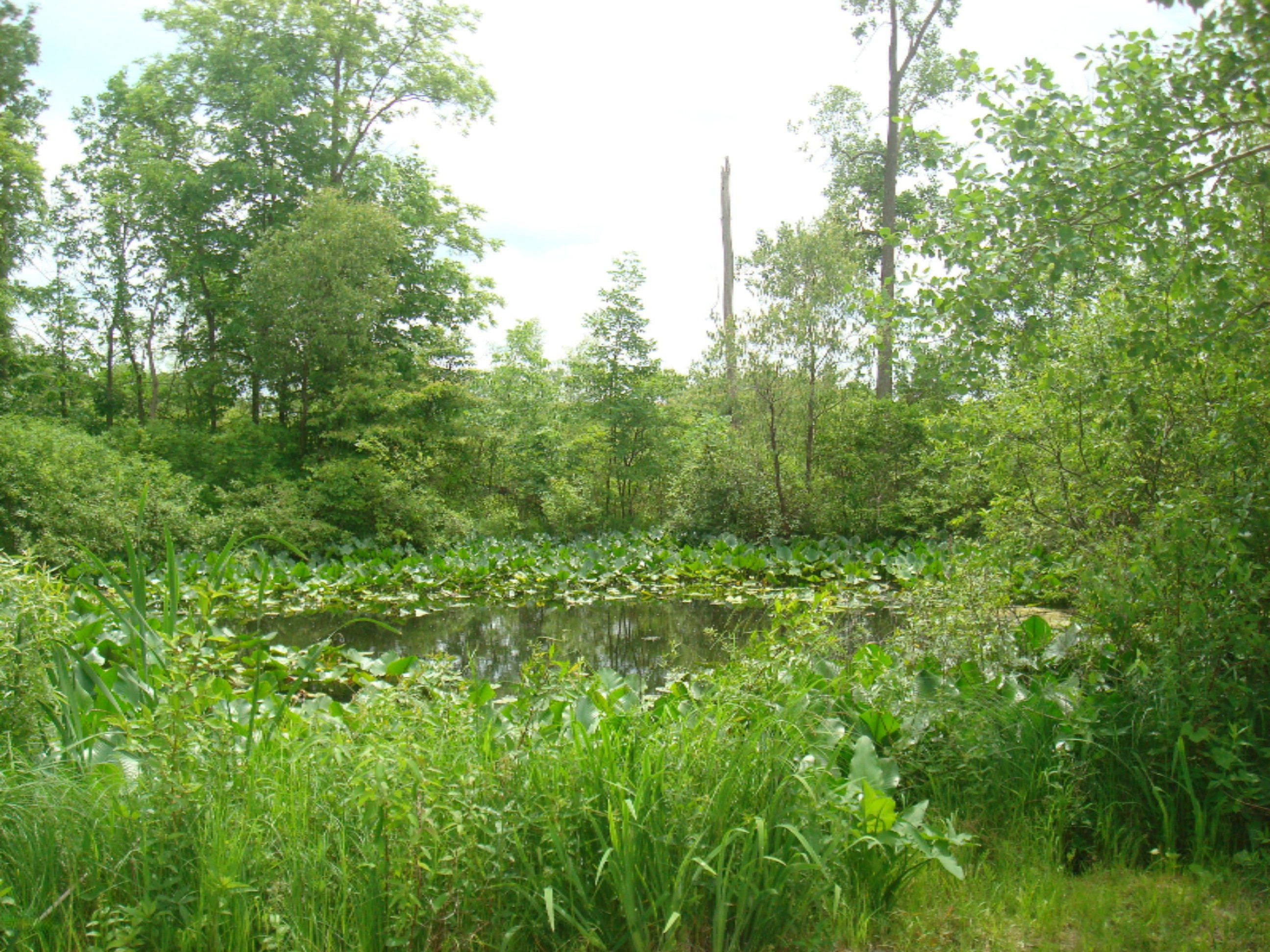 12282 Mead Road Montgomery, MI 49255 - Photo 114 of 142 9119-32 (11)