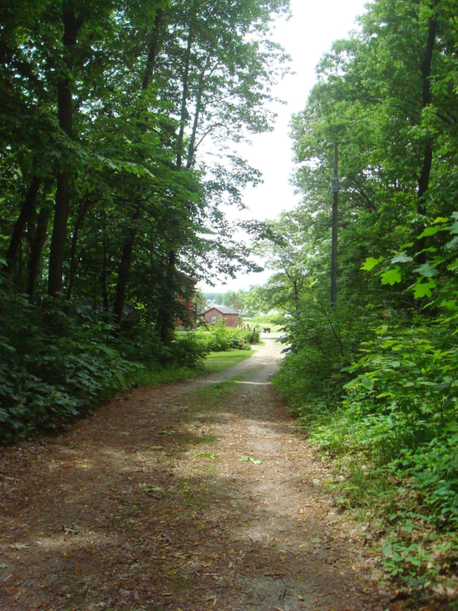12282 Mead Road Montgomery, MI 49255 - Photo 130 of 142 9119-33 (13)