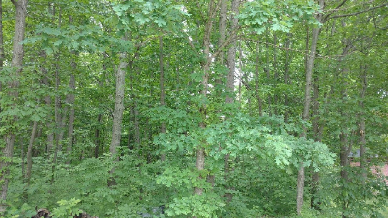 12282 Mead Road Montgomery, MI 49255 - Photo 136 of 142 9119-35 (2)