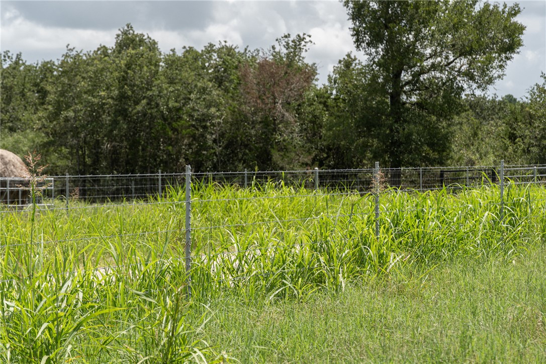 Tbd Tbd Street Paige, TX 78659 - Photo 5 of 12