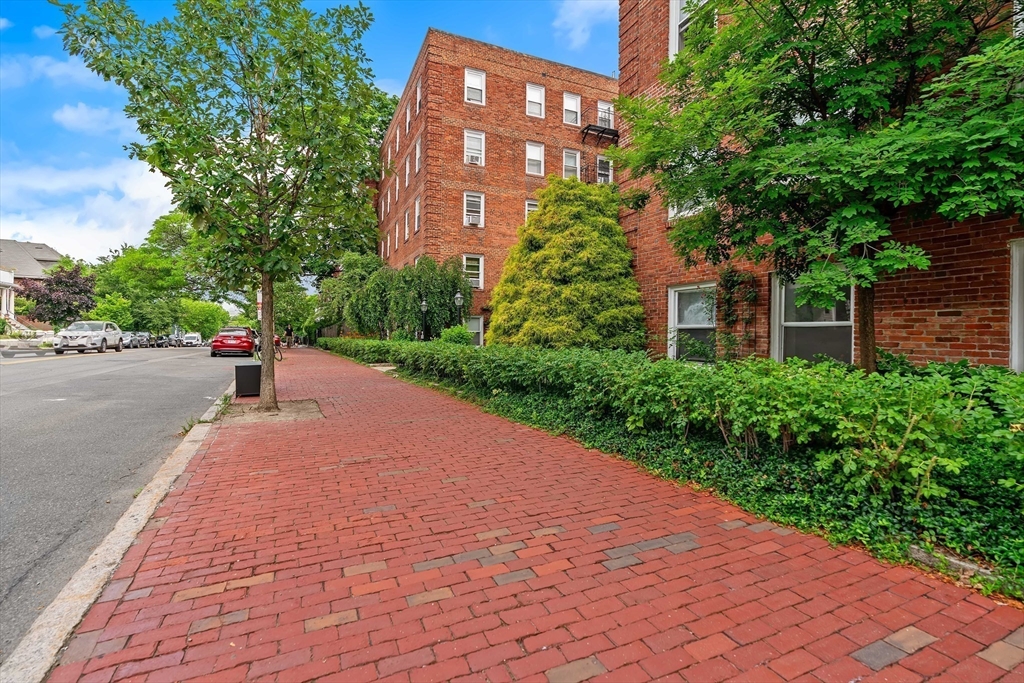 395 Broadway, Unit R1C Cambridge, MA 02139 - Photo 32 of 32