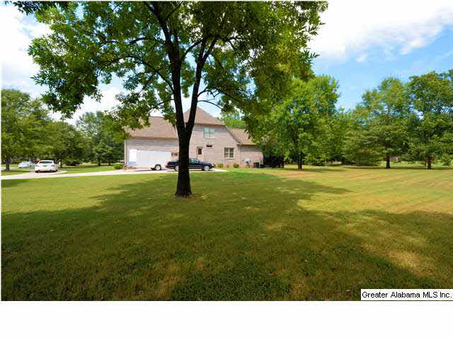 7002 Indian Ridge Drive Pelham, AL 35124 - Photo 31 of 32