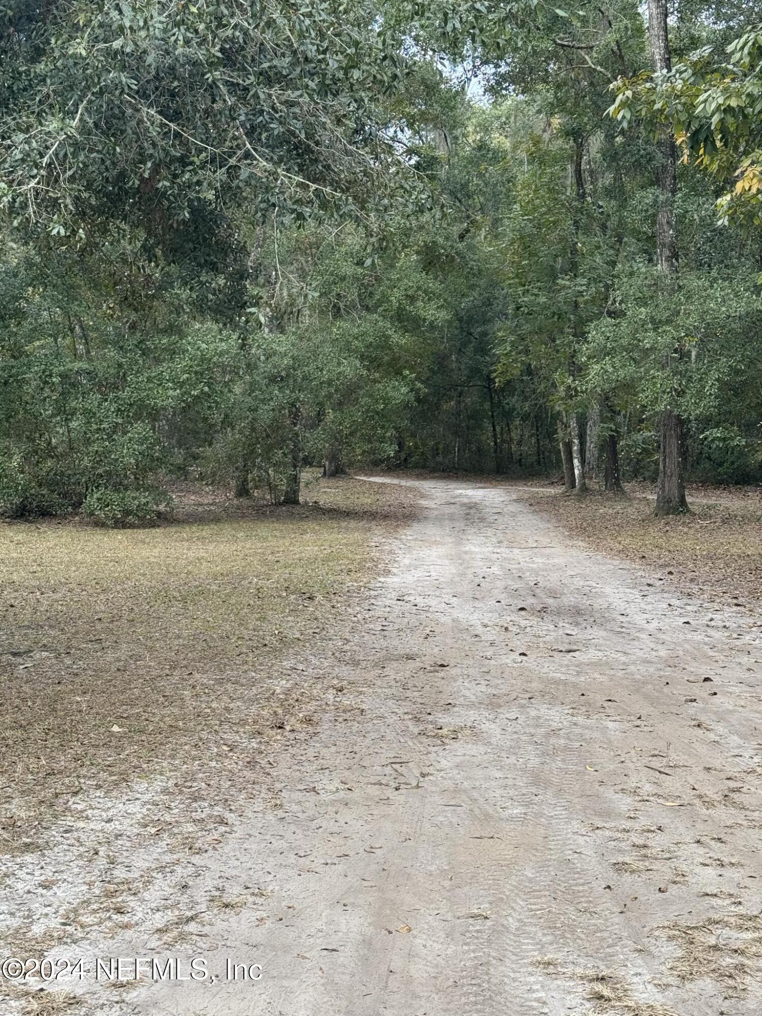 208 Tanner School Bus Road Florahome, FL 32140 - Photo 11 of 31 c2b8dbf0-b2ec-4f5c-a203-6fd06317a4b3